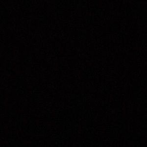 Meet your Posher, Shaun